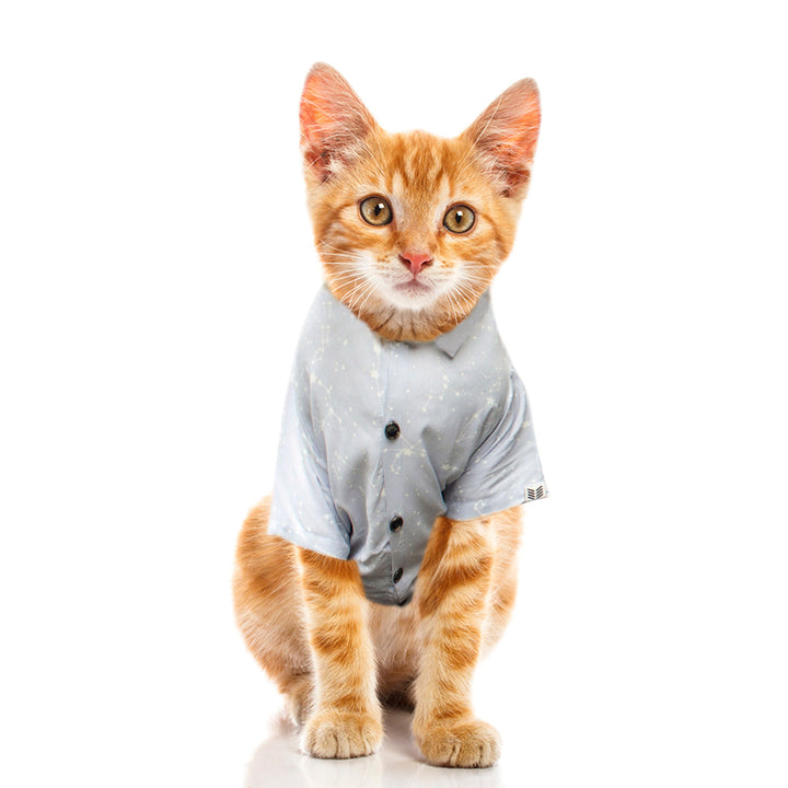 Constellation Printed Cat Shirt | SoftTech Fabric