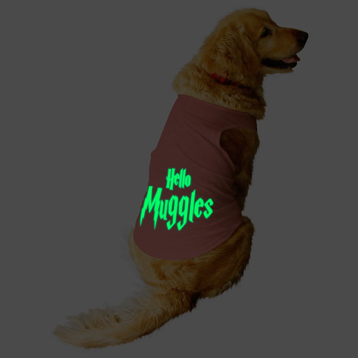 "Hello Muggles" Night Glow Printed Dog Tee