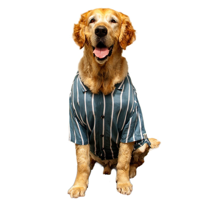 Teal Striper Dog Shirt | SoftTech Fabric