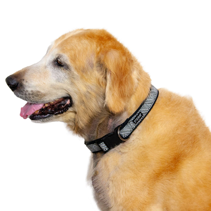 Black White Cross Weave Padded Cotton Dog Collar