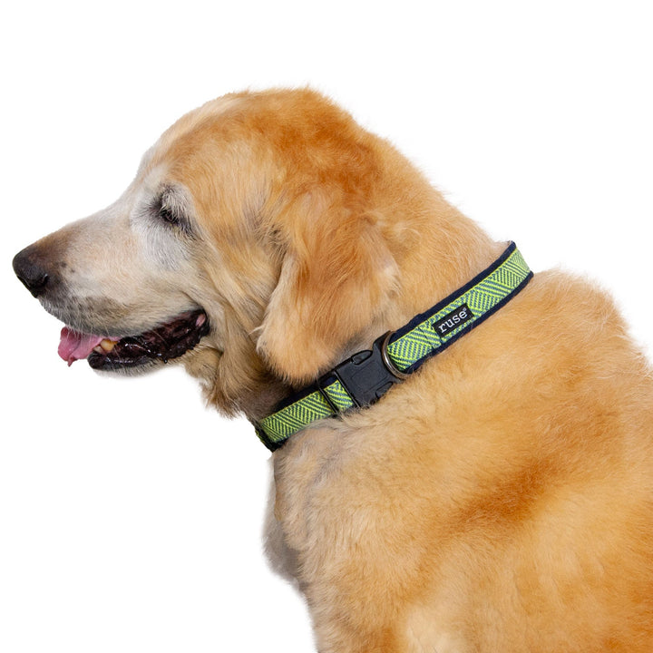 Blue Green Cross Weave Padded Cotton Dog Collar