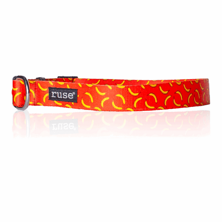 Let's Go Bananas! Printed Nylon Dog Collar and Leash