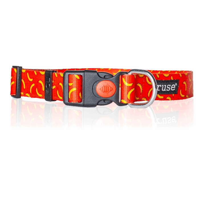 Let's Go Bananas! Printed Nylon Dog Collar and Leash