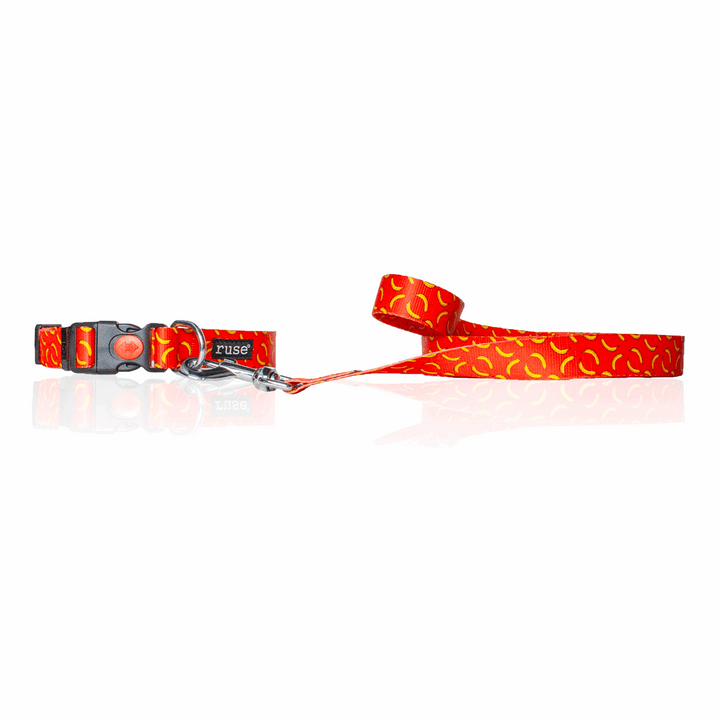 Let's Go Bananas! Printed Nylon Dog Collar and Leash