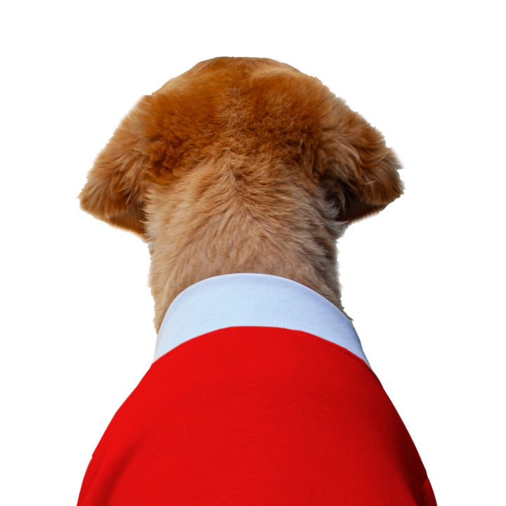 Ruse 'Basics' "Zero Barks Given" Printed Crew Neck Full Sleeve Sweatshirt For Dogs