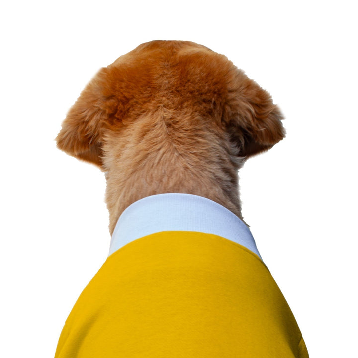 Ruse 'Basics' "Zero Barks Given" Printed Crew Neck Full Sleeve Sweatshirt For Dogs