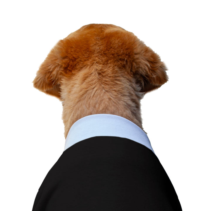 Ruse 'Basics' "Paws and Chill" Printed Crew Neck Full Sleeve Sweatshirt For Dogs