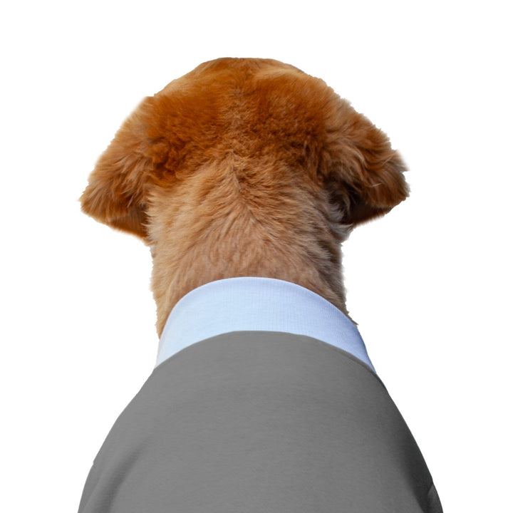 Ruse 'Basics' "Paws and Chill" Printed Crew Neck Full Sleeve Sweatshirt For Dogs