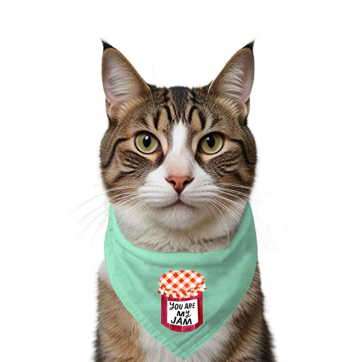"You Are My Jam" Printed Cat Bandana with Anti Chafing Elastic