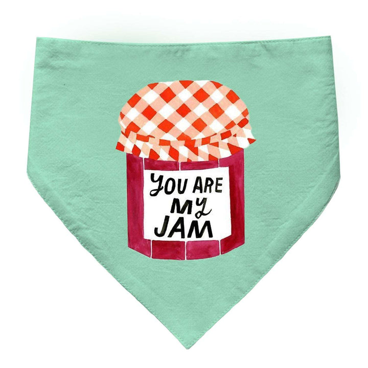 "You Are My Jam" Printed Cat Bandana with Anti Chafing Elastic