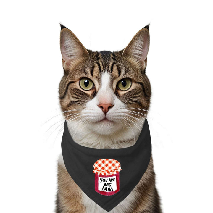 "You Are My Jam" Printed Cat Bandana with Anti Chafing Elastic
