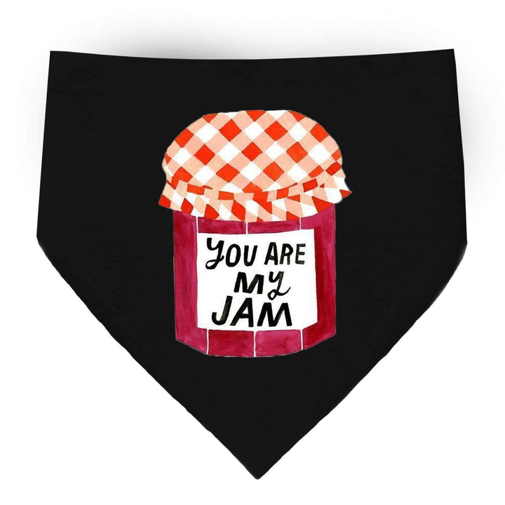 "You Are My Jam" Printed Cat Bandana with Anti Chafing Elastic