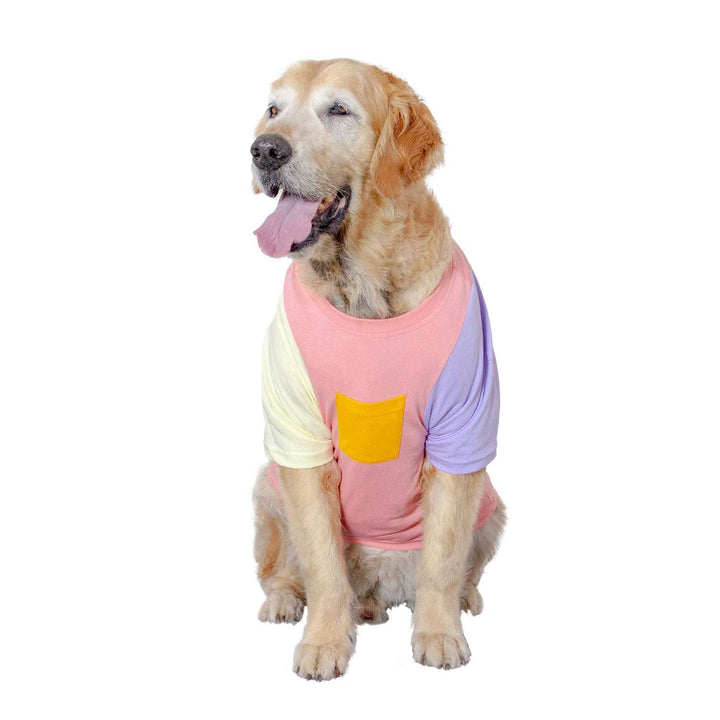 Candy Floss Treat Pocket Dog Tee