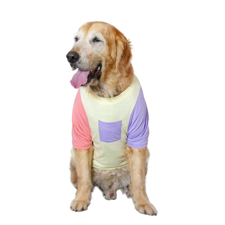 Candy Floss Treat Pocket Dog Tee