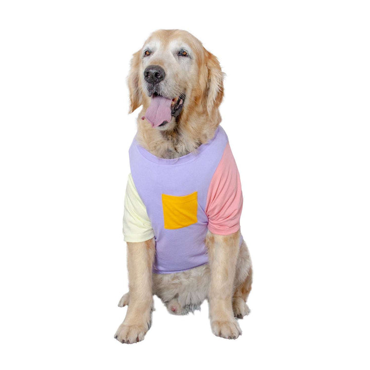Candy Floss Treat Pocket Dog Tee
