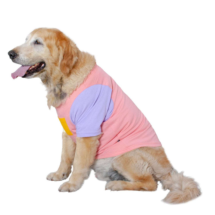 Candy Floss Treat Pocket Dog Tee