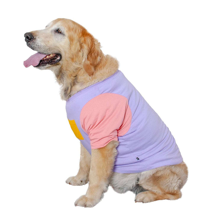 Candy Floss Treat Pocket Dog Tee