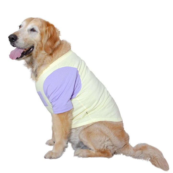 Candy Floss Treat Pocket Dog Tee