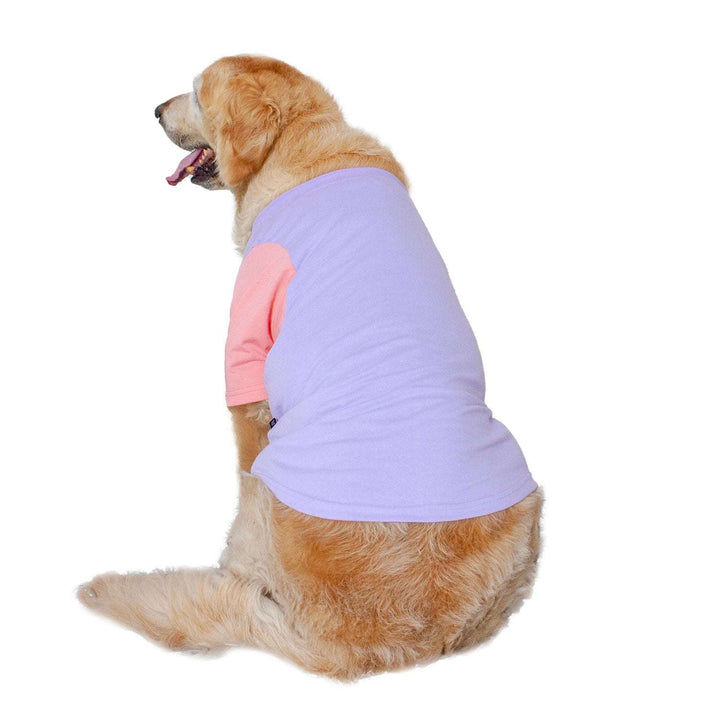 Candy Floss Treat Pocket Dog Tee