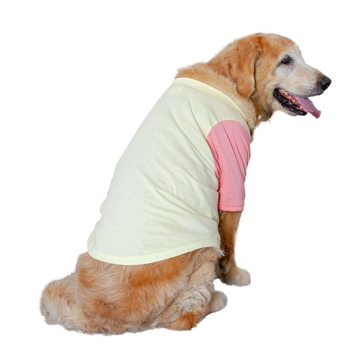 Candy Floss Treat Pocket Dog Tee