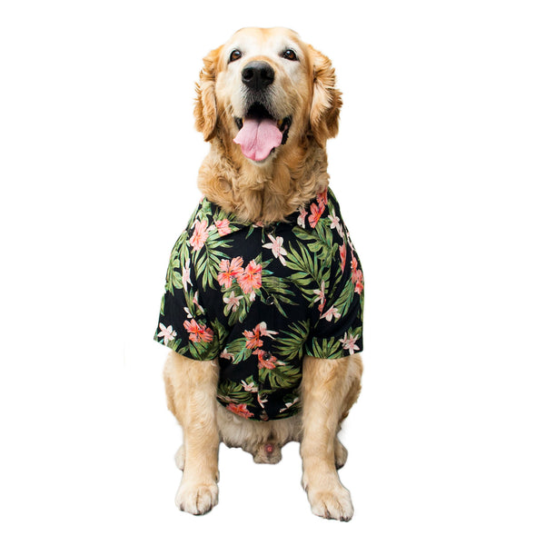 Old Floral Jungle  Dog Shirt | SoftTech Fabric