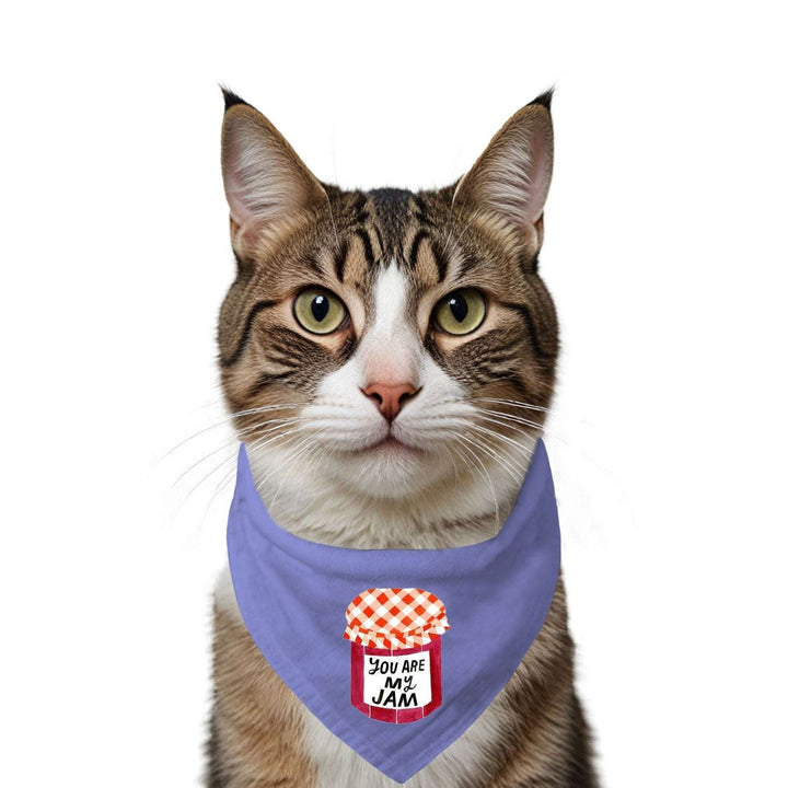 "You Are My Jam" Printed Cat Bandana with Anti Chafing Elastic