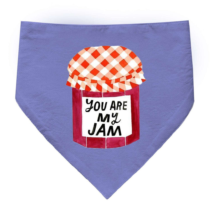 "You Are My Jam" Printed Cat Bandana with Anti Chafing Elastic