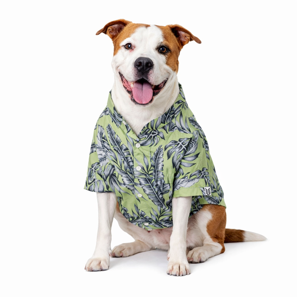 Monstera Mischief Dog Shirt