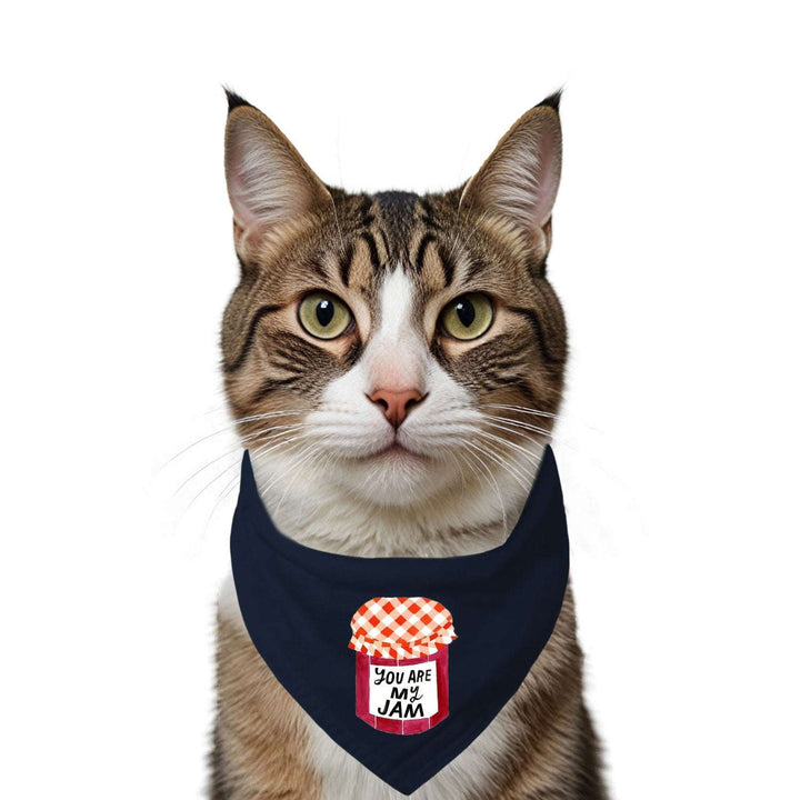 "You Are My Jam" Printed Cat Bandana with Anti Chafing Elastic