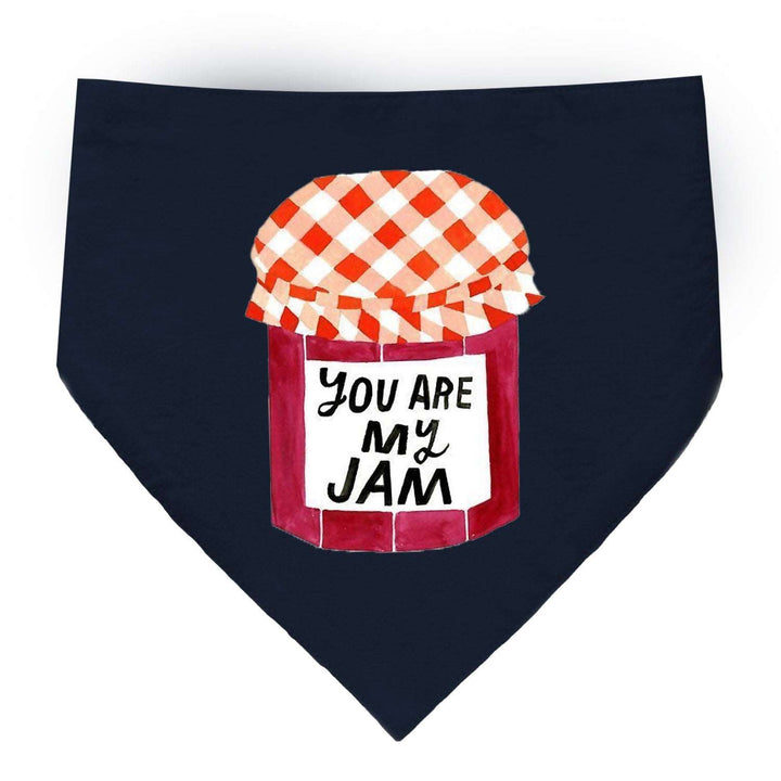 "You Are My Jam" Printed Cat Bandana with Anti Chafing Elastic