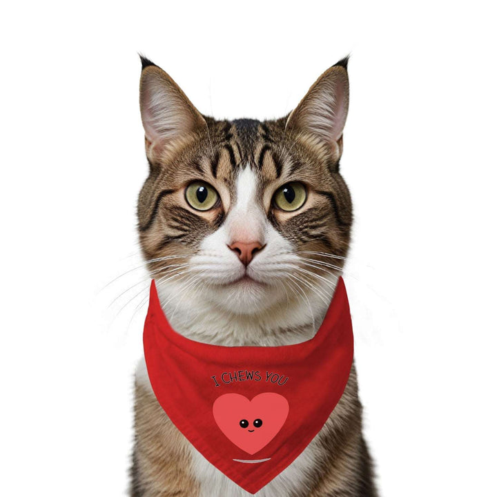 "I Chews You" Printed Cat Bandana with Anti Chafing Elastic