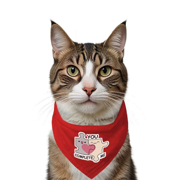 "You Complete Me" Printed Cat Bandana with Anti Chafing Elastic