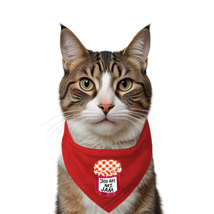 "You Are My Jam" Printed Cat Bandana with Anti Chafing Elastic