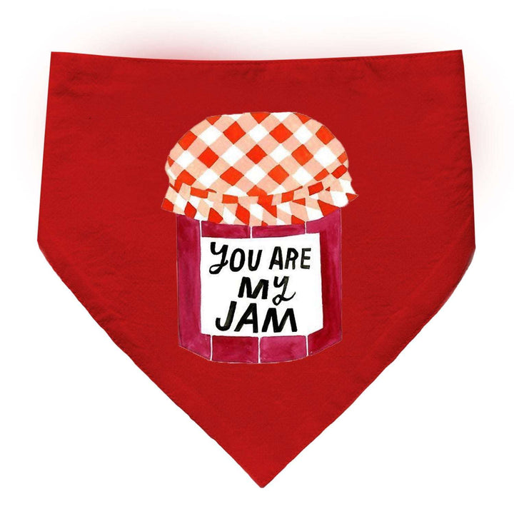 "You Are My Jam" Printed Cat Bandana with Anti Chafing Elastic