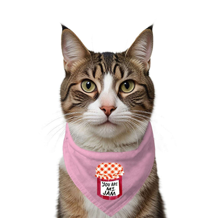 "You Are My Jam" Printed Cat Bandana with Anti Chafing Elastic