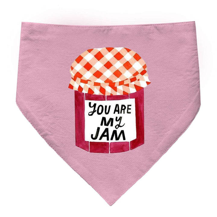 "You Are My Jam" Printed Cat Bandana with Anti Chafing Elastic