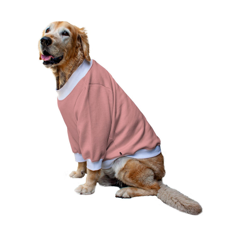 Ruse 'Basics' "Paws and Chill" Printed Crew Neck Full Sleeve Sweatshirt For Dogs
