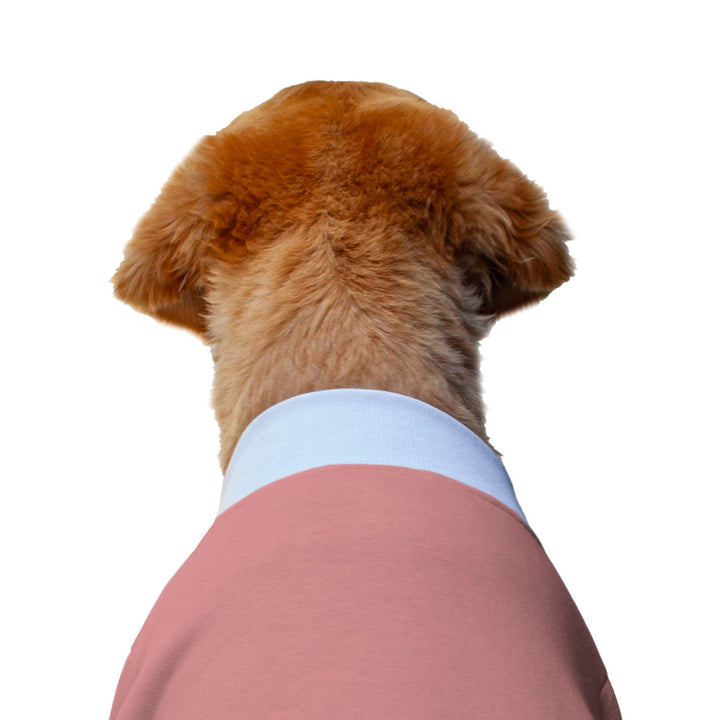 Ruse 'Basics' "The 'Snuggle' is Real" Printed Crew Neck Full Sleeve Sweatshirt For Dogs