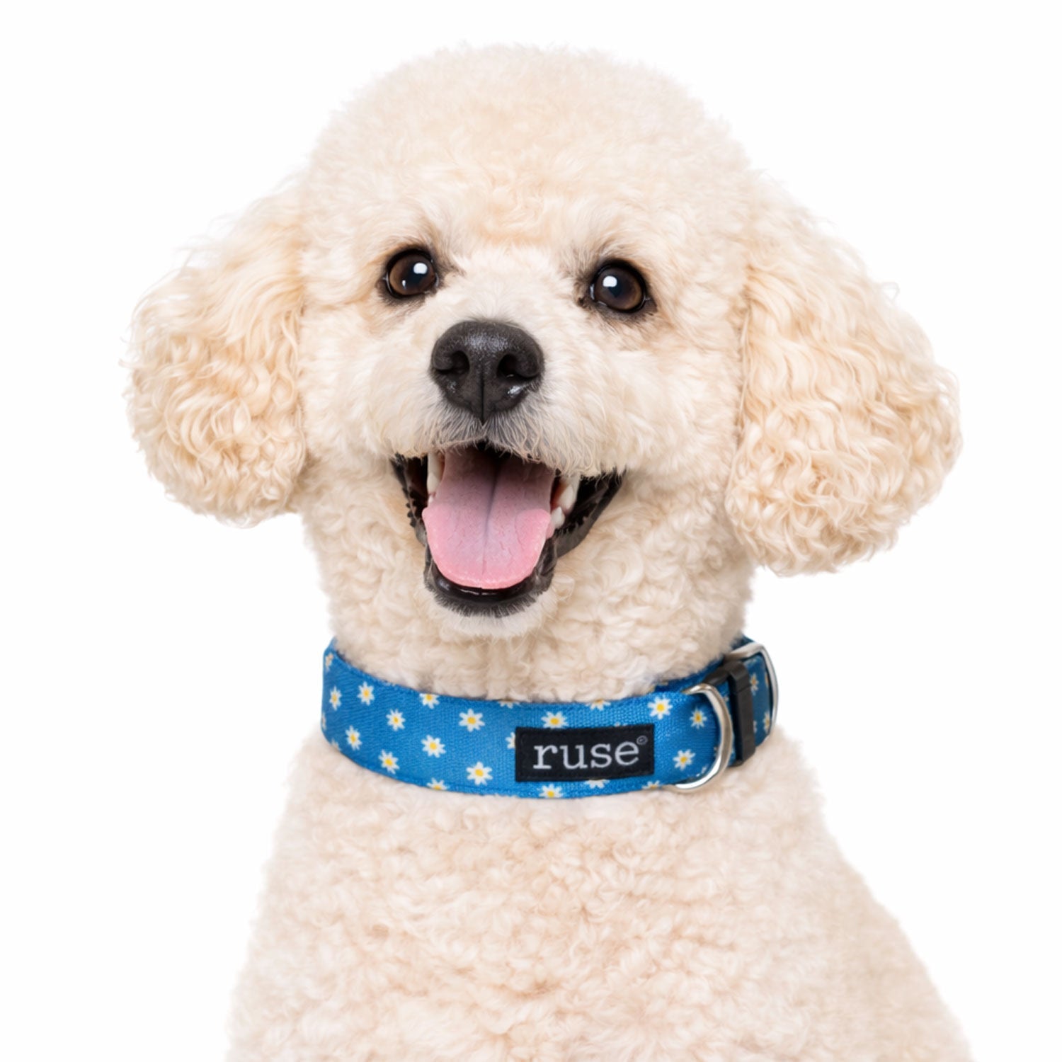犬用品 NEIGHBORHOOD DOG COLLAR NARROW GLAY