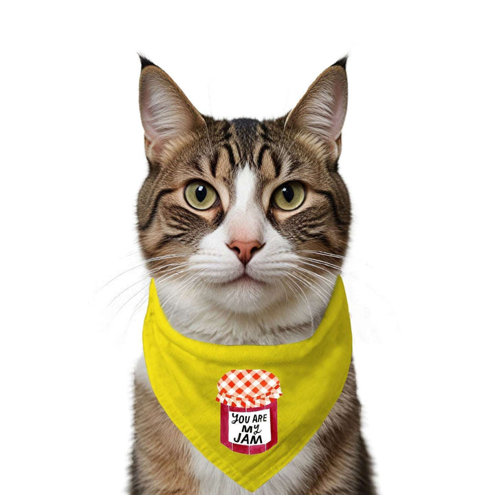 "You Are My Jam" Printed Cat Bandana with Anti Chafing Elastic