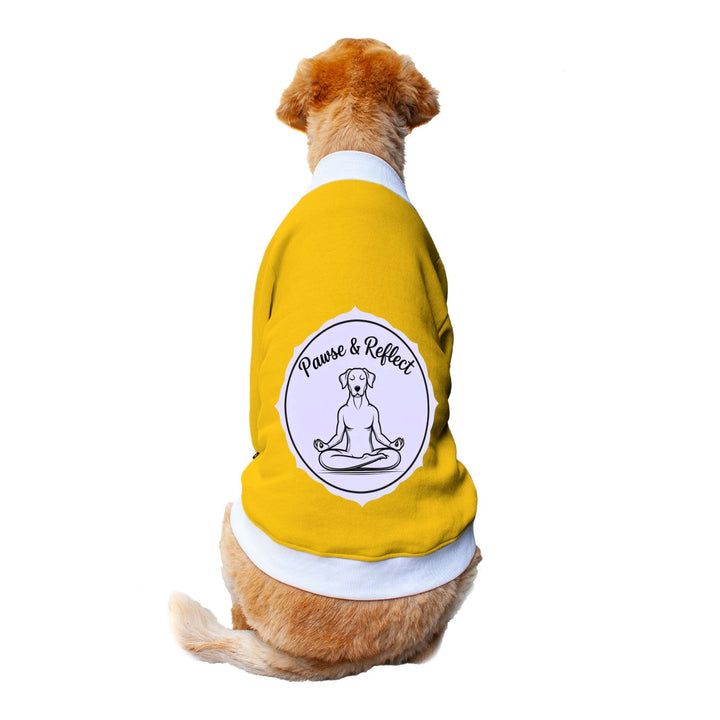 Ruse 'Basics' "Paws and Reflect" Printed Crew Neck Full Sleeve Sweatshirt For Dogs