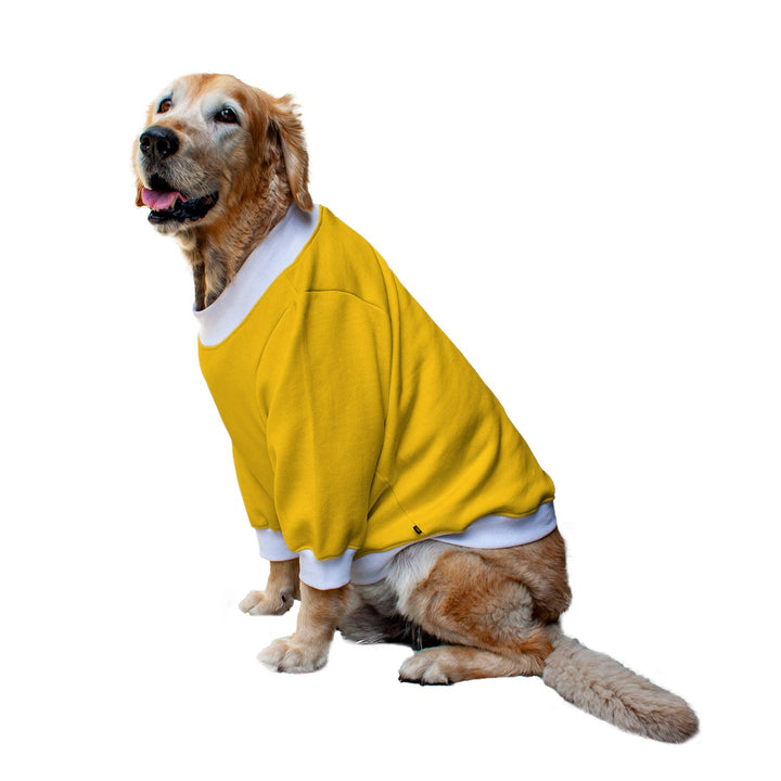 Ruse 'Basics' Crafty Crew Neck Full Sleeve Plain Sweatshirt For Dogs