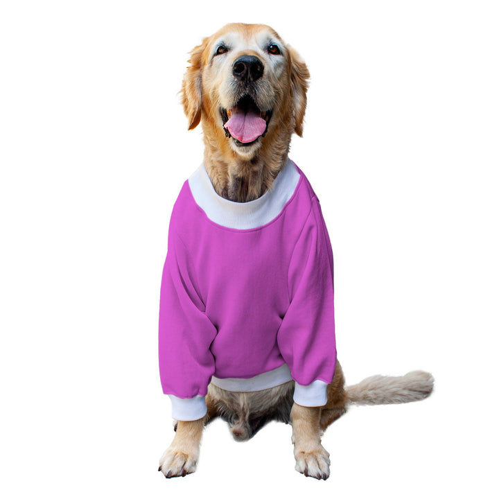 Ruse 'Basics' "I Am Upto Snow Good" Printed Crew Neck Full Sleeve Sweatshirt For Dogs