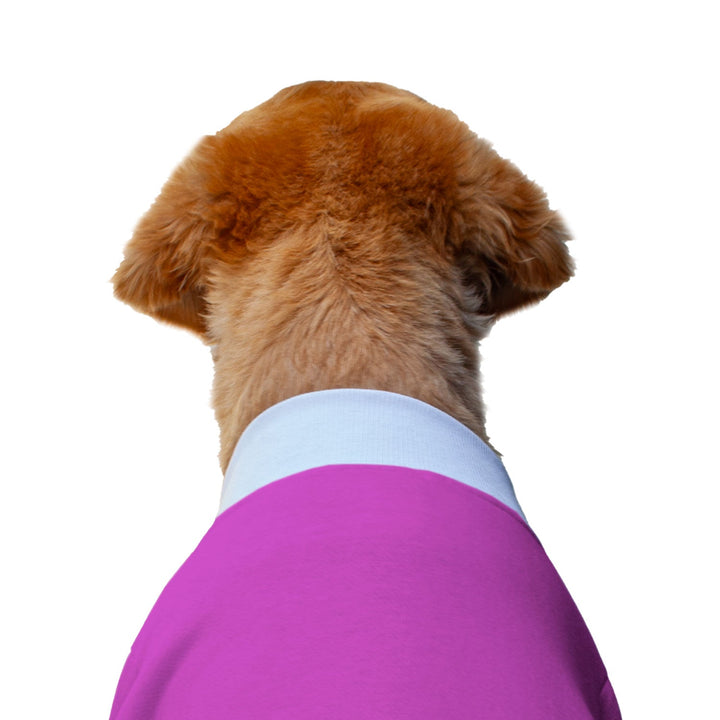 Ruse 'Basics' "I Am Upto Snow Good" Printed Crew Neck Full Sleeve Sweatshirt For Dogs