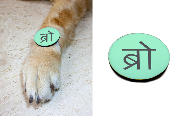Ruse Pet Rakhi "BRO" Printed Rakhi/Fridge Magnet Rakhi For Dog & Cat.