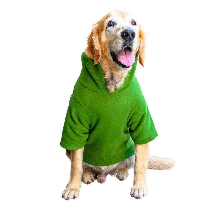 Dinosaur Hoodie For Dogs
