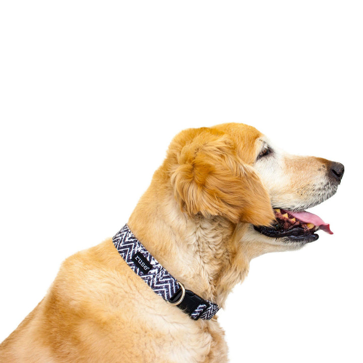 All-over printed Military Grade Canvas Dog Neck Collar