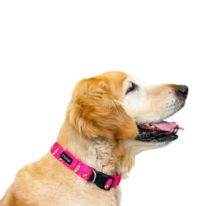 All-over printed Military Grade Canvas Dog Neck Collar