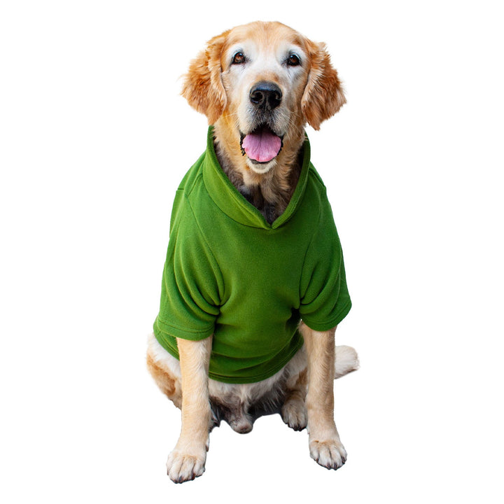 Collared Shell Jacket For Dogs