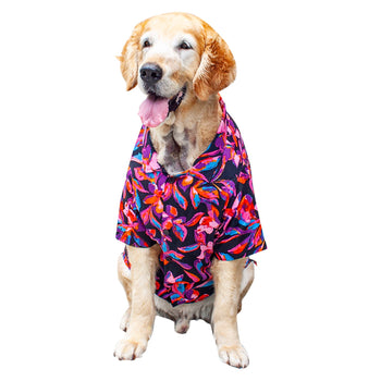 Floral Jungle  Dog Shirt | SoftTech Fabric